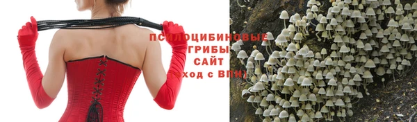 дживик Беломорск