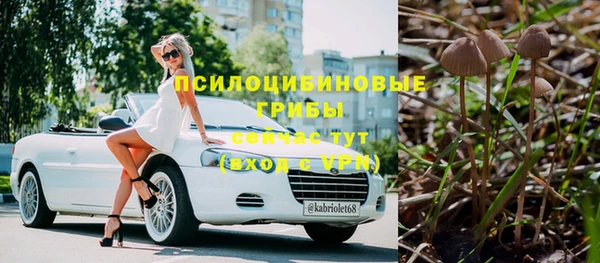 эйфоретик Белоозёрский