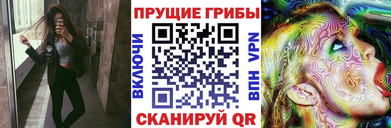 Галлюциногенные грибы MAGIC MUSHROOMS  цены наркотик  Горячий Ключ 