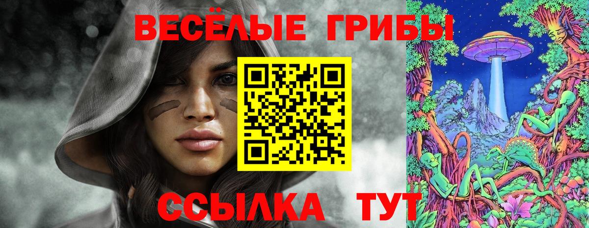 Галлюциногенные грибы Psilocybine cubensis Горячий Ключ